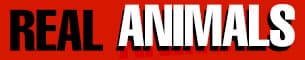 real animals red jpg