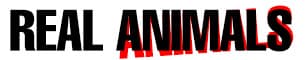 real animals jpg