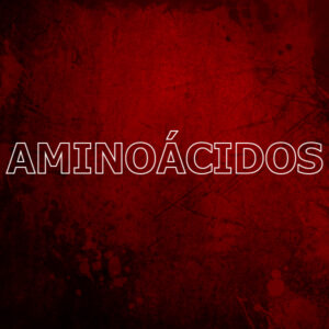 AMINOÁCIDOS