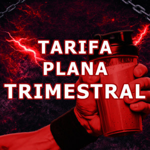 TARIFA PLANA TRIMESTRAL